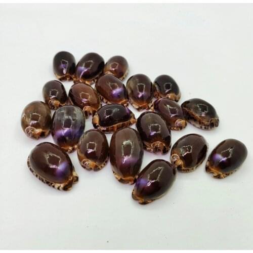 Natural Conchs Seashells Gel Material Aquarium Gift for Children Home decoration Fish Tank Landscaping