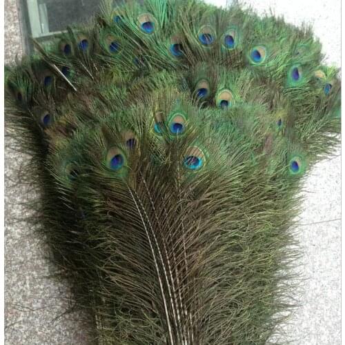 200pcs Feather Peacock TAILS 10"-12" Tail Feathers Fan For DIY Apparel Sewing Wedding Party Party Decoration