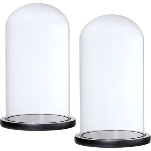 2Pieces Clear Decorative Glasses Cloches Plants And Flowers Holder with Base