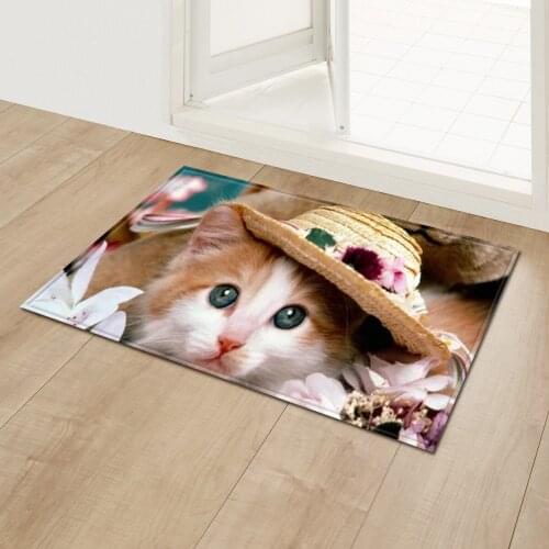 Cute Cat Animal Decor Entrance Doormat Bay Window Area Rug Flannel Anti-slip Kitchen Bathroom Mat Living Room Bedroom Rug Carpet