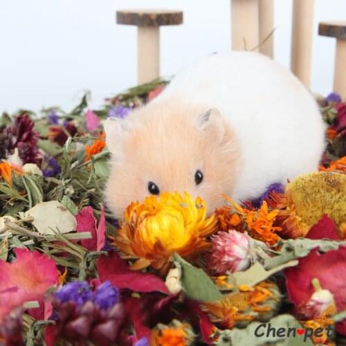 Natural Hamster Flower Grass Bedding Small Pet Litter Supplies for Guinea Pig Chinchillas Rabbit Cage Decor Chewing Toy