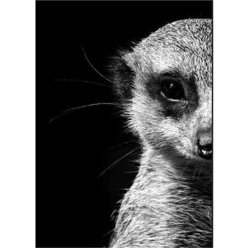 Embroidery animal black white 5d diy diamond painting Meerkat cross stitch full square round mosaic diamond rhinestones ZP-3319