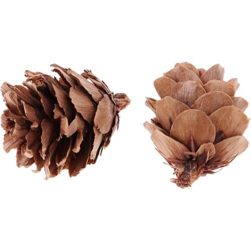 30 Pieces Real Natural Pine Cones Decorative Pinecone Bauble Xmas Tree Decor Home Decors