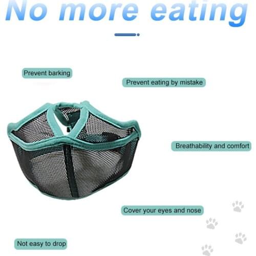 HOBBAGGO Collars, Harnesses And Leashes