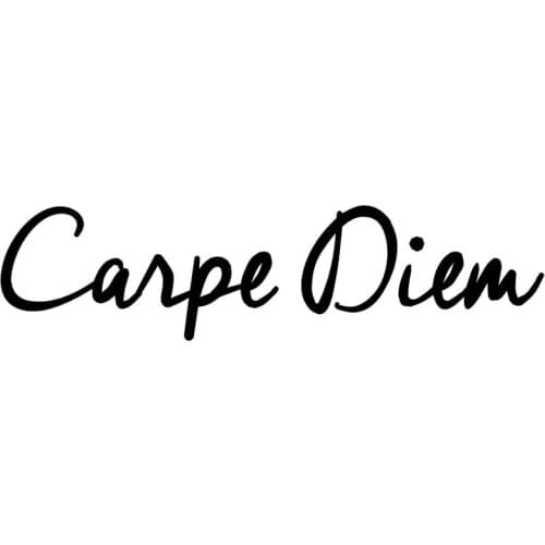20.3*5CM CARPE DIEM Fashion Text Car Vinyl Decals Car Styling Door Stickers Accessories Black/Silver C9-0316
