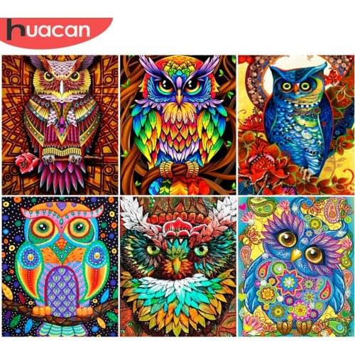 HUACAN Diy Frame Picture By Number Owl Animal Drawing On Canvas Painting By Numbers For Adults Handpainted Unique Gifts