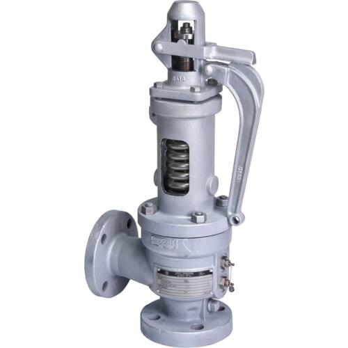 COVNA 3 inch Spring Loaded Low Lift Open Bonnet Steam Pressure Relief Valve