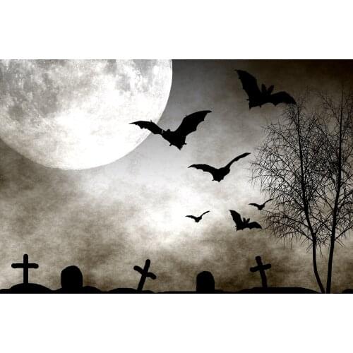 Halloween Trick-Or-Treating Moon Night Cemetery Bat Pale Night Ghost Indoor Background Used For Live-Streaming party