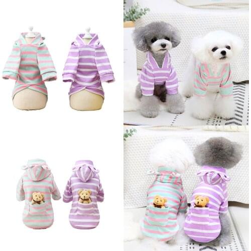 Cartoon Dog Hoodie Cat Yorkshire Pomeranian Shih Tzu Maltese Bichon Poodle Schnauzer Dachshund Clothes Winter Pet Clothing Coat