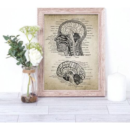 Human Head And Brain Anatomy Patent Poster Vintage Print Neuroscience Human Anatomy Wall Pictures Doctors Office Home Decor