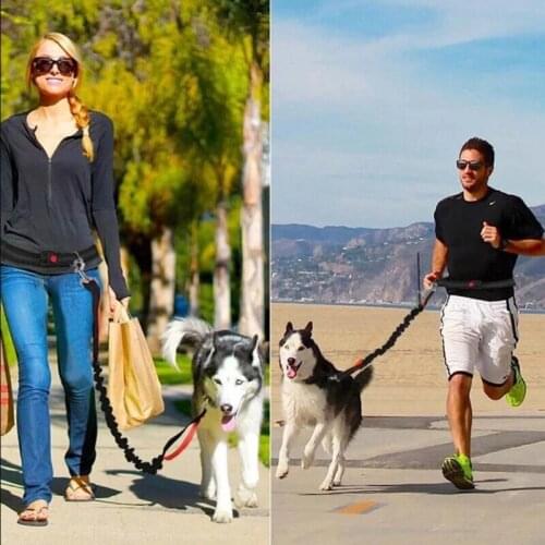 New Reflective Leash Traction Rope Pet Dog Running Belt Elastic Hands Freely Jogging Pull Dog Leash Metal D Ring Leashes