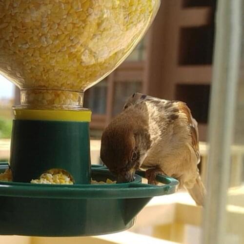 Automatic Wild Bird Seeds Feed Forest Hanging Cup Garden Bird Feeder Outdoor Indoor Pet Feeding Container 090C