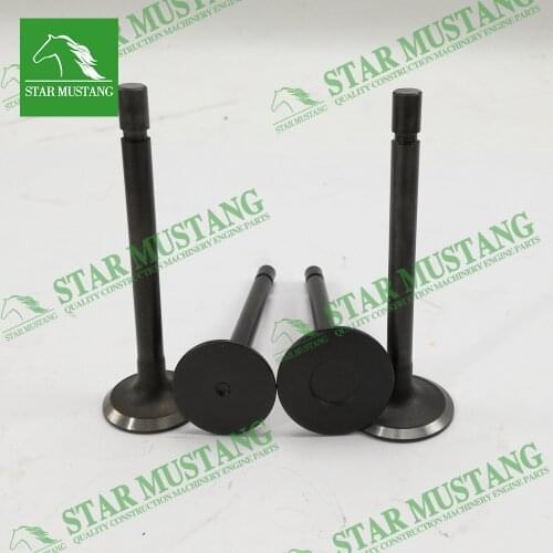D1105 Engine Valve Intake 1G673-13110 Exhaust 1G673-13120 For Kubota (For One Engine)