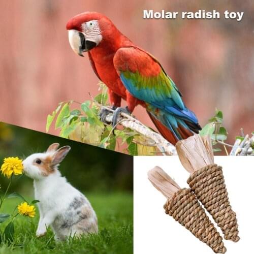 2Pcs Pet Molar Toys Simulated Radish Shape Bite Resistant Woven Grass Pet Teeth Molar Chew Toys Practical Pet Products