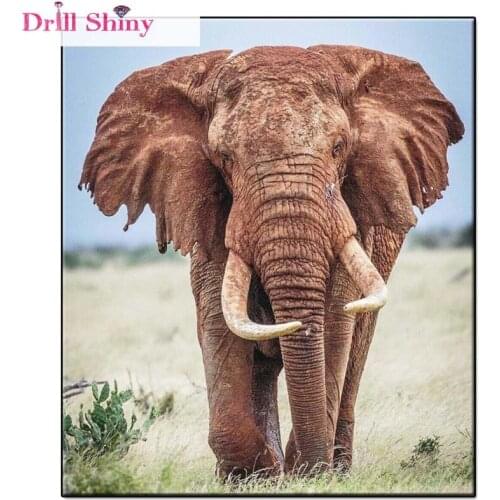 Drill Shiny Elephant Diamond painting embroidery sets animals 3d Diy diamond mosaic painting full square diamond home decor