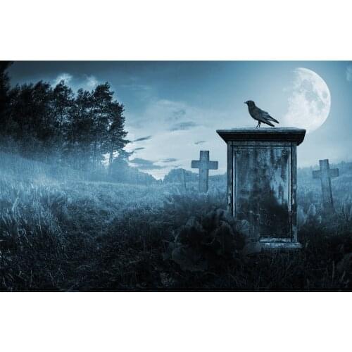 Halloween Does Not Give Candy To Disturb The Graveyard Crow Dark Night Prayer Graveyard Soul Indoor Background Cloth