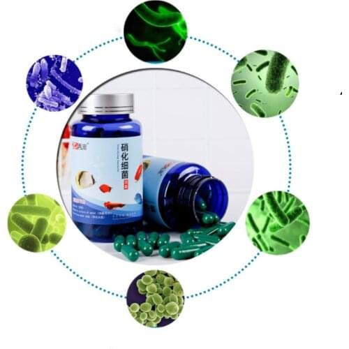 20/30/50/80/100 Pcs Aquarium Nitrifying Bacteria Concentrated Capsule Fish Tank Pond Cleaning Fresh Water Supply