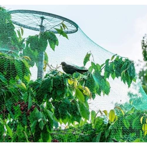 Anti Bird Netting Garden Plant Fruit Tree Vegetables Crops Flower Protective Mesh Deer Pest Cat Dog Chicken ControlCatcher