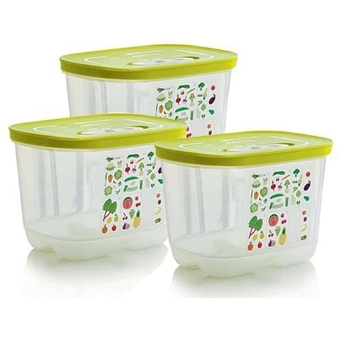 Tupperware T40-Greenhouse Series Vegetable Fruit Storage Container 1.8 l High Body (3x1.8 L)