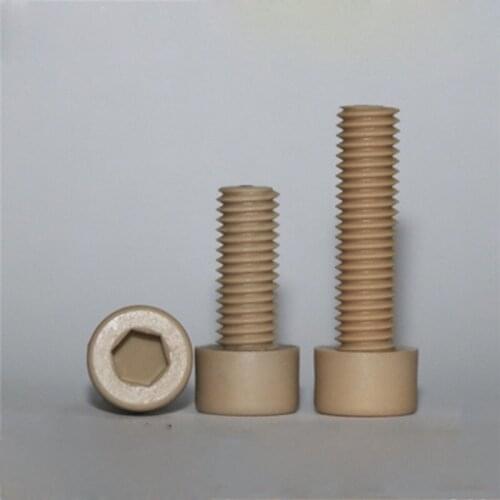 1PCS Hex socket Screw Plastic High Temperature Resistance Cup head PEEK Bolt Preservative Screws M10 M12