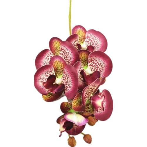 10Pcs Artificial Short Stem Butterfly Orchid Real Touch Latex Phalaenopsis Orchid for Home Floral Decoration