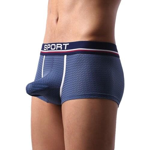 Sexy Mens Underwear Boxers Men Ice Silk Mesh Hollow Panties Male Trunk Boxershorts Gay Big Penis Pouch Underpants Plus Size