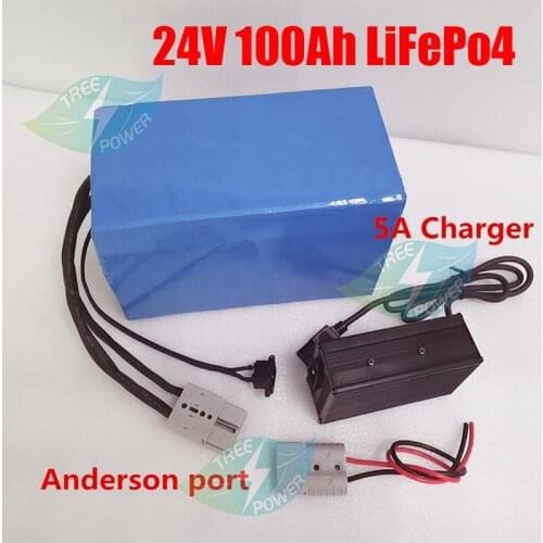 24V 100Ah LiFePO4 Battery for 24V system with BMS system and cell equalizer inside Lithium Battery+10A charger