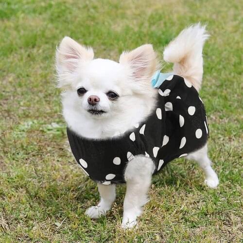 Dog Cute Floral Bow Dresses Pet Dog Wedding Dress For Small Dogs Summer Chihuahua Pug Clothing Puppy Cat Supplies Cat Dress