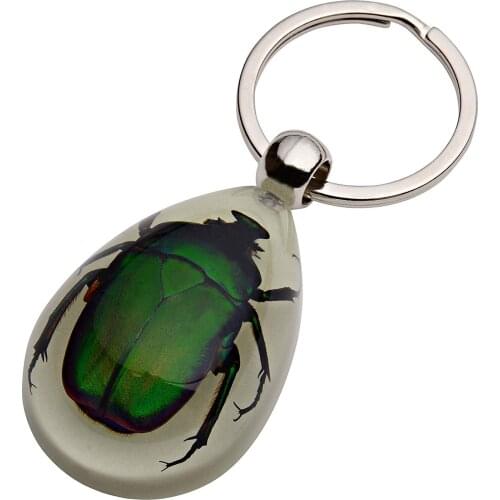 Glow-In-The-Dark Real Insect Keychain