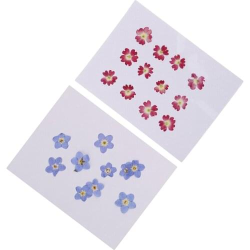 22 Pieces Mini Forget-me-not Verbena Flowers Pressed Dried Flowers For DIY Jewelry Making Craft Necklace Pendants Charms