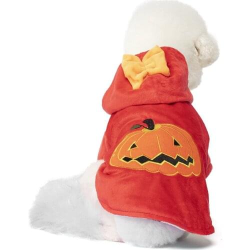 Halloween Theme Puppy Fashion Warm Clothes Pet Dog Cat New Pumpkin Clothes Puppy Cat Autumn and Winter Small Dog Cat Biped Coat