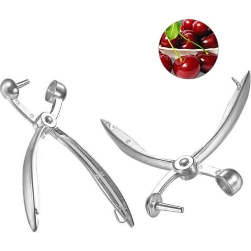 1Pc Cherry Olive Pitters Stoner Pits Long Handle Fruits Corer Seed Remover For Jujube Hawthorn Fruit Kitchen Accessories