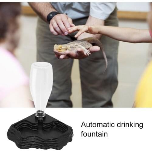 Pet Reptiles Turtles Feeder Water Dispenser Drinking Fountain Dish Bowl Tortoise Lizard Basin Reptile Box Feeding Supplies