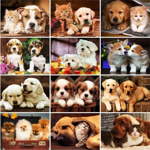 HUACAN Oil Painting By Numbers Dog Handpainted Unique Gift Pictures By Numbers Animals For Adults Home Decoration