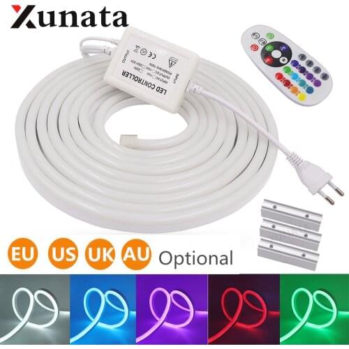 220V 110V RGB Neon Strip Waterproof IP67 Indoor Outdoor Lighting Flexible LED Neon Rope Light Lamp With IR 24Key Remote