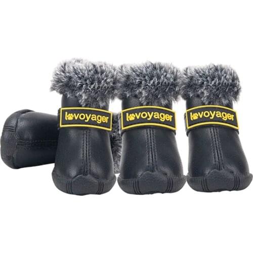 GLORIOUS KEK Clothes And Footwear For Dogs