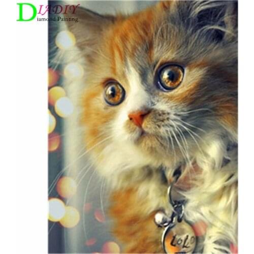 NEW Full Square Diamond Painting Cat 5D Diy Diamond Embroidery Animal Mosaic Picture Of Rhinestone Home Decoration Girl Hobby