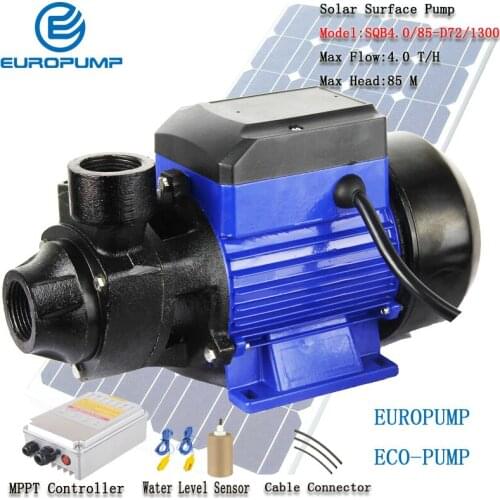 EUROPUMP Free Shipping Brushless Max Lift 55M Max Flow 4T/H Solar Water Pump Solar Self Prime Pump MODEL(SQB4.0/85-D72/1300)