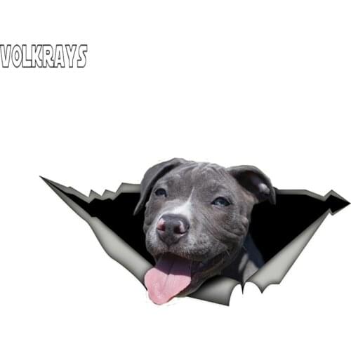 Volkrays Funny Grey Pitbull Car Stickers Vinyl Decal Pet Dog Sticker Waterproof 3D Automobile Decoration Accessories,15cm*6cm