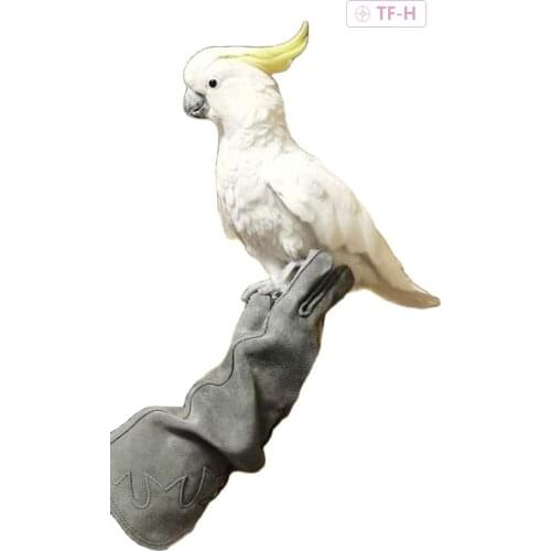 40cm long Training Eagles Gloves Parakeet Cow Skin Anti-scratch Anti-bite Gloves Bird Material Leather