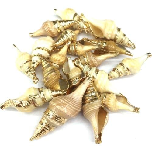 Fashion Natural Shell Pendants Conch Charms Pendant for Jewelry Making DIY Supplies Fit Necklaces Wholesale