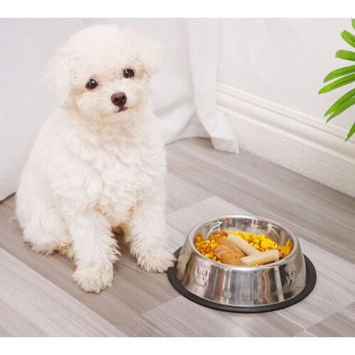 Stainless Steel Dog Bowl Dog Bowl Fall Resistant Non-Slip Thickening Pet Feeding Supplies Pet Bowl Footprint Cat And Dog Bowl
