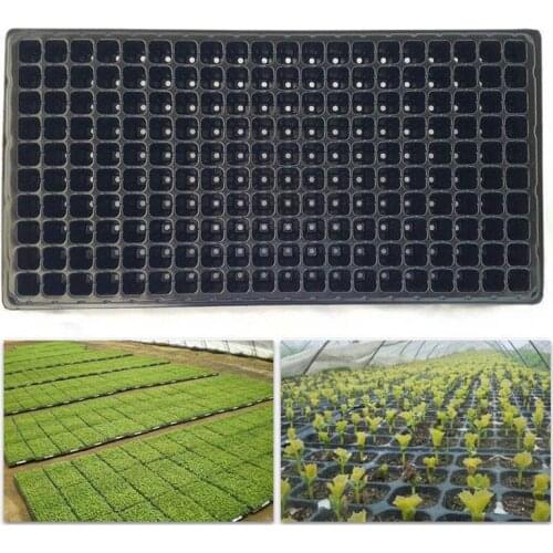 200 Cell Seedling Starter Tray Seed Germination Plant Propagation
