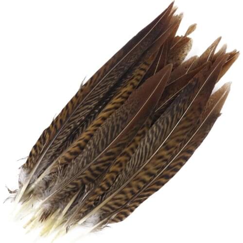 25pcs Natural Pheasant tail Feather Diy Craft Plumes for Carnival Jewelry Making accessories 15-20 CM Long feather stripe
