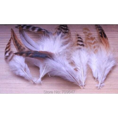100Pcs/lot,4-6"(10-15cm)Natural Coque Chinchila Color Feathers,Loose Coque Chinchila Feathers,hair feathers,natural feathers