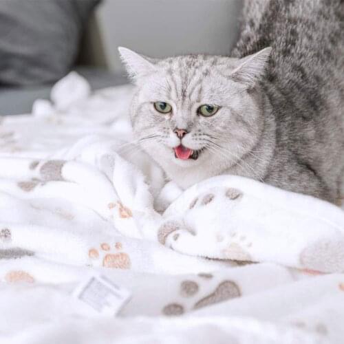 Pet Fleece Blanket Comfortable Cats Blanket Thick And Warm Dogs Soft Warm Sleep Mat Machine Washable Cat Playing Pad Sofa Ground