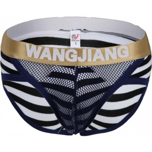 2019 Mens underwear rim stripe cotton mesh perspective sexy package hip mini briefs