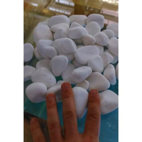 Olomite medium size stone 1 kg for aquarium, terrarium or pond