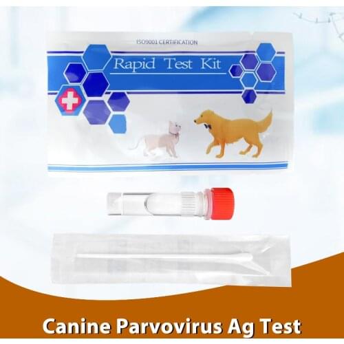 1 Pack Canine Parvovirus Ag Test