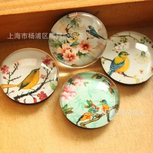 15 pieces a lot)Department of Nature crystal glass 25 mm fridge magnet